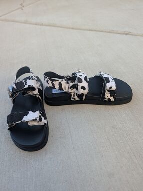 Steve Madden Women's Black & White Cow Print Strap Sandals 8 NWB
